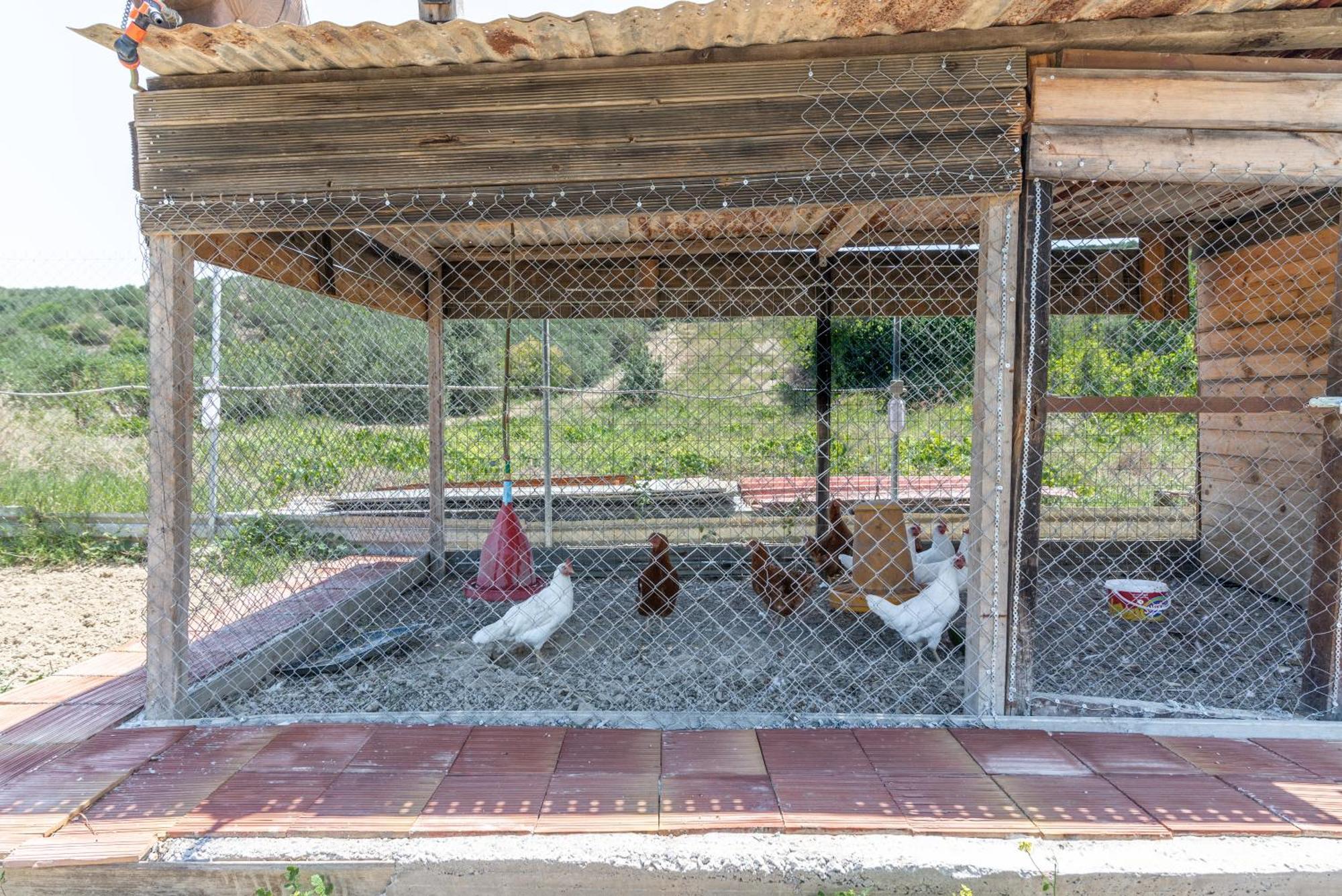 Countryhouse Villa With Pool & Private Parking Heraklion  Exterior photo